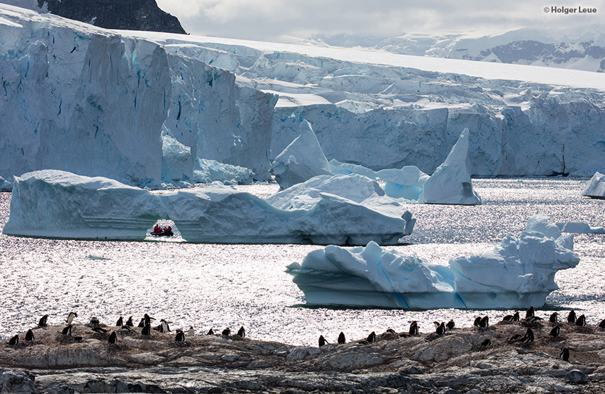 Antarctic_2020_11_Abenteuer und Wildtiere